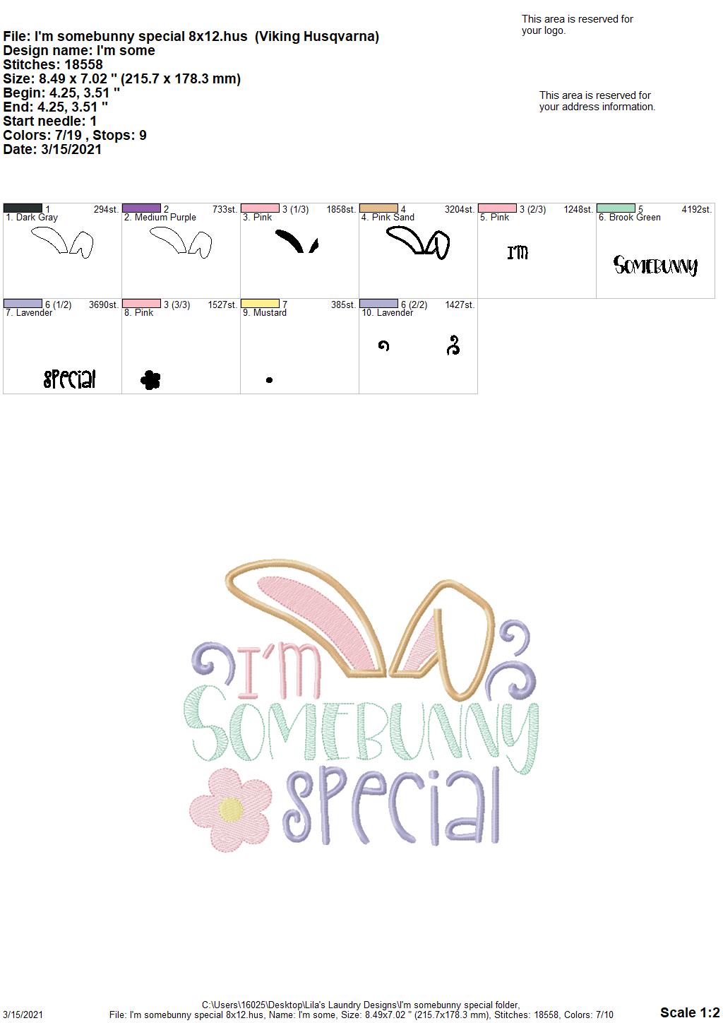 I'm Somebunny Special - 4 sizes- Digital Embroidery Design