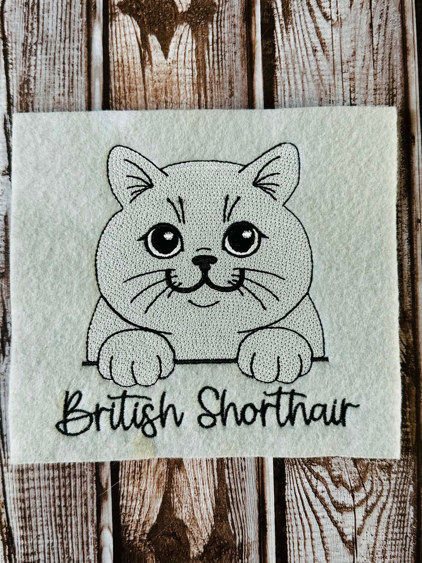 Sketch British Shorthair Cat  - 4 x 4, 5 x 7, 6 x 10 and 8 x 12 - DIGITAL Embroidery Design