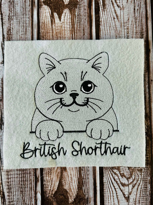Sketch British Shorthair Cat  - 4 x 4, 5 x 7, 6 x 10 and 8 x 12 - DIGITAL Embroidery Design