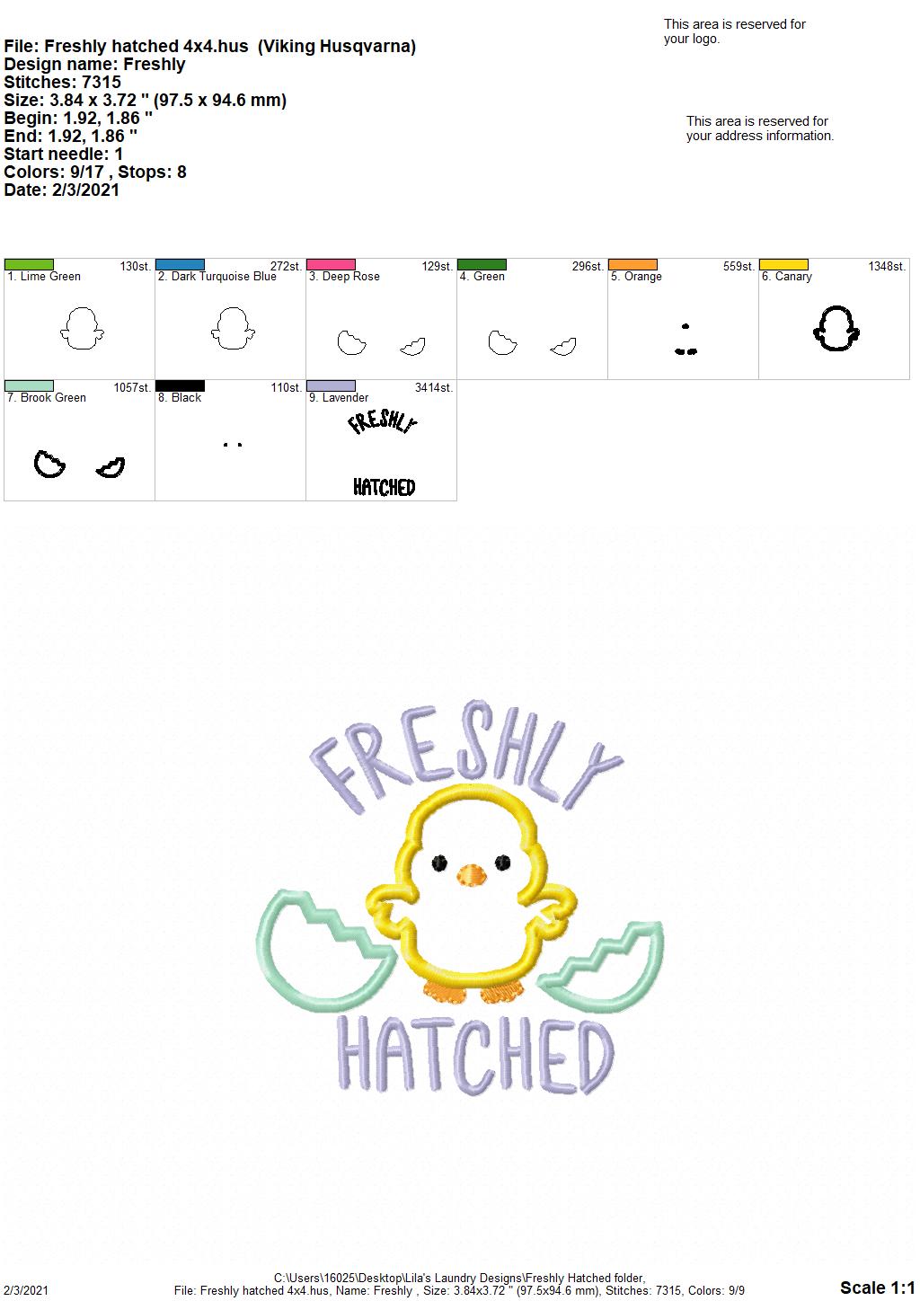Freshly Hatched Applique - 2 sizes- Digital Embroidery Design